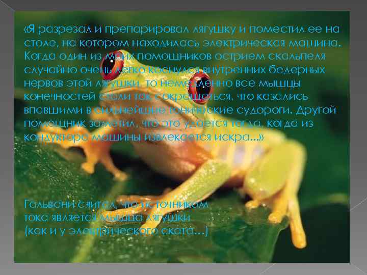  «Я разрезал и препарировал лягушку и поместил ее на столе, на котором находилась