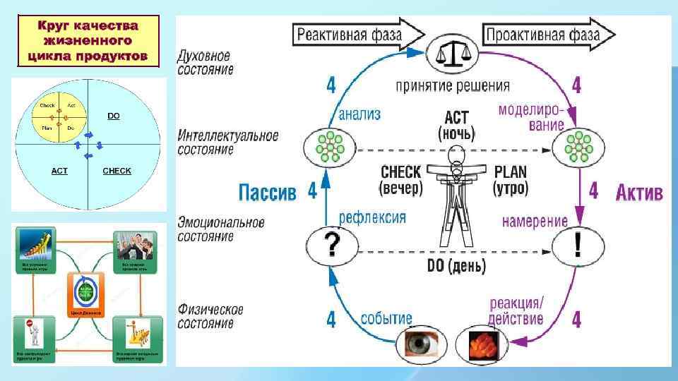 V цикл. Круг качества продукции. Круг качества жизненный цикл продукта. Жизненный цикл продукта как круг качества. Жизненный цикл продукции круг Деминга.