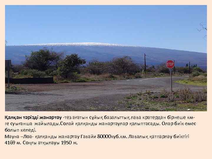 Қалқан тәрізді жанартау -тез ағатын сұйық базальттық лава кратердан бірнеше кмге суығанша жайылады. Солай