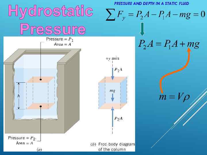 Hydrostatic Pressure PRESSURE AND DEPTH IN A STATIC FLUID 