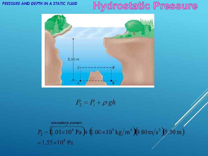 PRESSURE AND DEPTH IN A STATIC FLUID Hydrostatic Pressure 