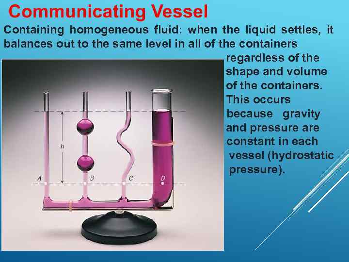 Containing homogeneous fluid: when the liquid settles, it balances out to the same level