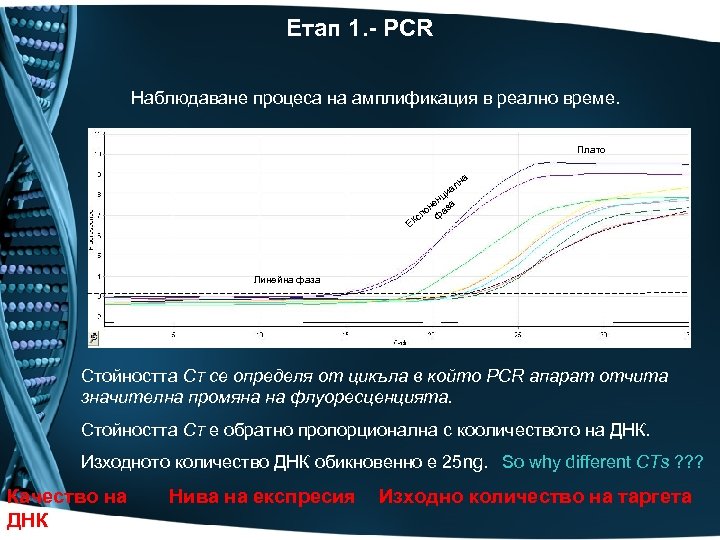 Етап 1. - PCR Наблюдаване процеса на амплификация в реално време. Плато на ал