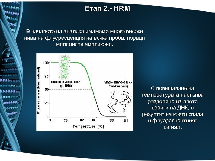 Етап 2. - HRM В началото на анализа имамеме много високи нива на флуоресценция