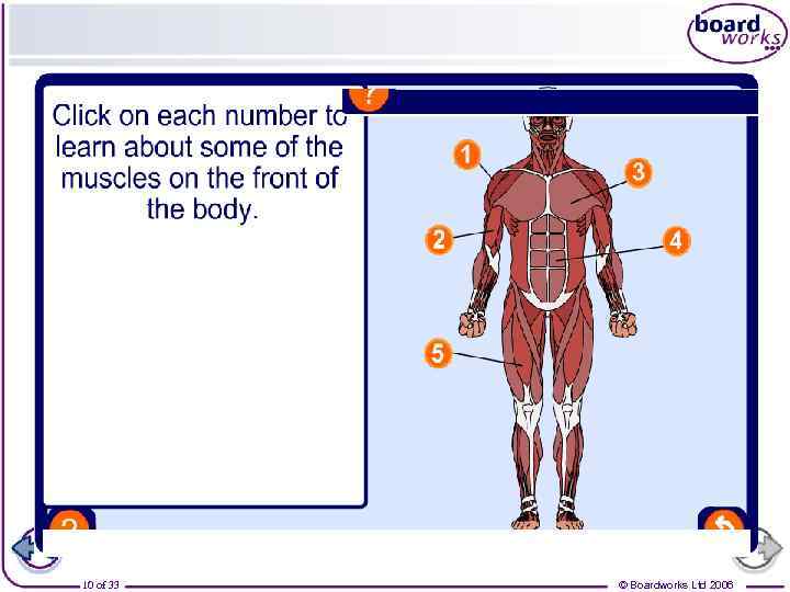 10 of 33 © Boardworks Ltd 2006 