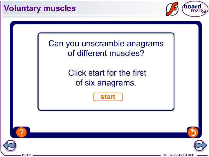 Voluntary muscles 12 of 33 © Boardworks Ltd 2006 