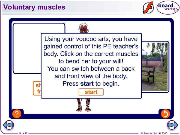 Voluntary muscles 16 of 33 © Boardworks Ltd 2006 