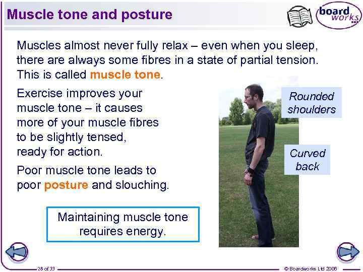 Muscle tone and posture Muscles almost never fully relax – even when you sleep,