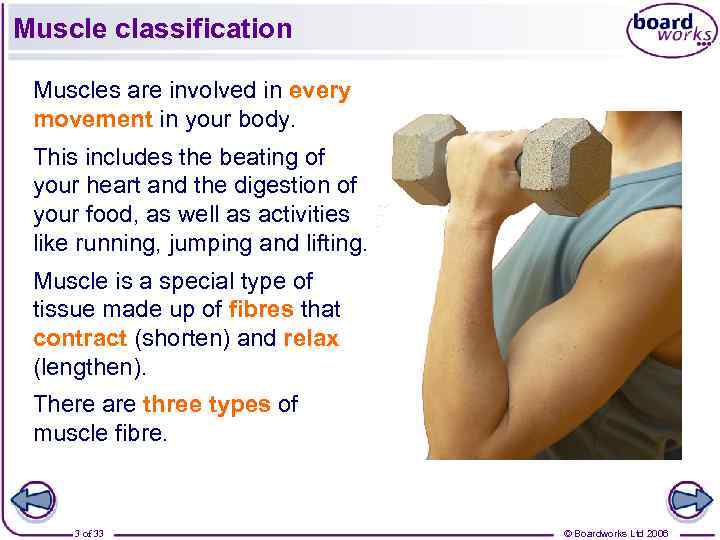 Muscle classification Muscles are involved in every movement in your body. This includes the