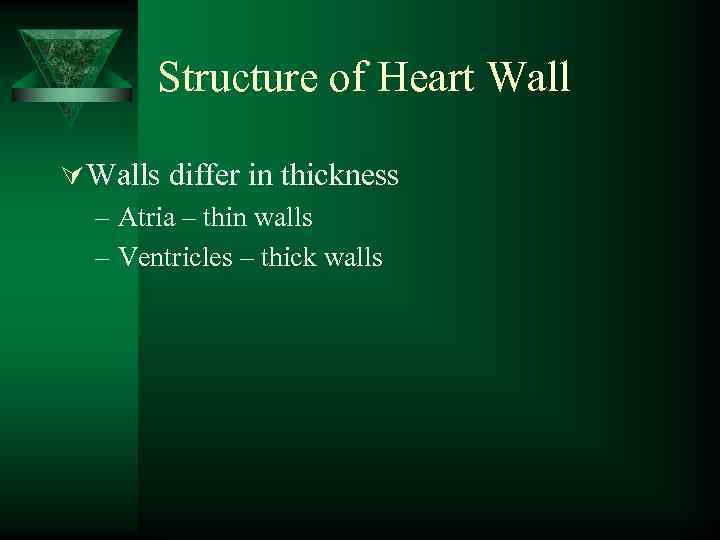 Structure of Heart Wall Ú Walls differ in thickness – Atria – thin walls