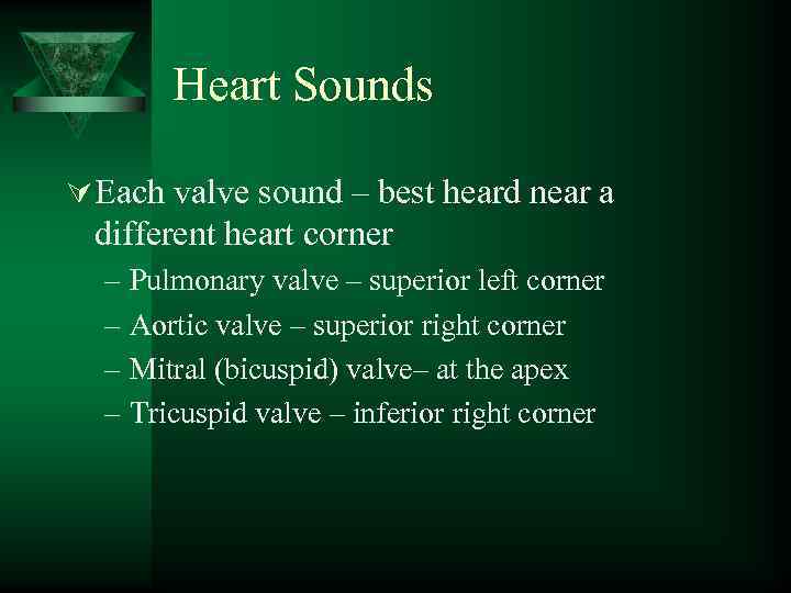 Heart Sounds Ú Each valve sound – best heard near a different heart corner