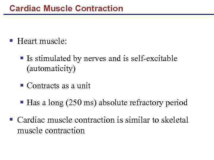 Cardiac Muscle Contraction § Heart muscle: § Is stimulated by nerves and is self-excitable