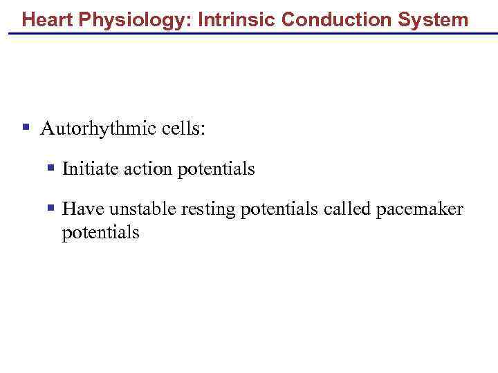 Heart Physiology: Intrinsic Conduction System § Autorhythmic cells: § Initiate action potentials § Have