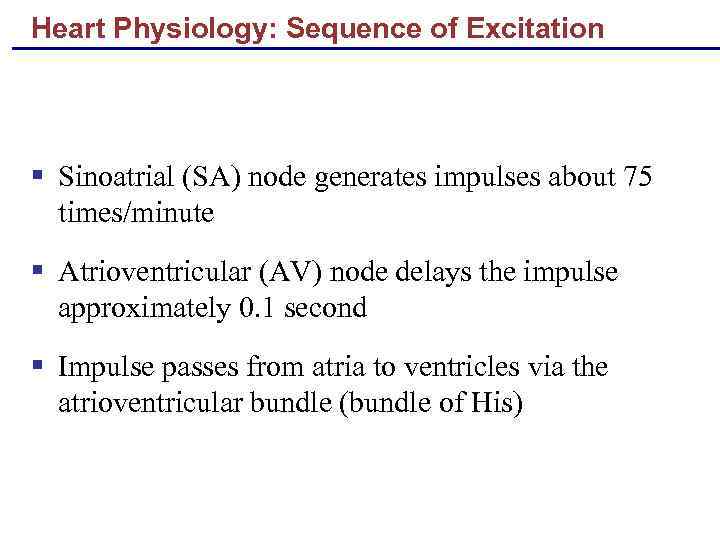 Heart Physiology: Sequence of Excitation § Sinoatrial (SA) node generates impulses about 75 times/minute