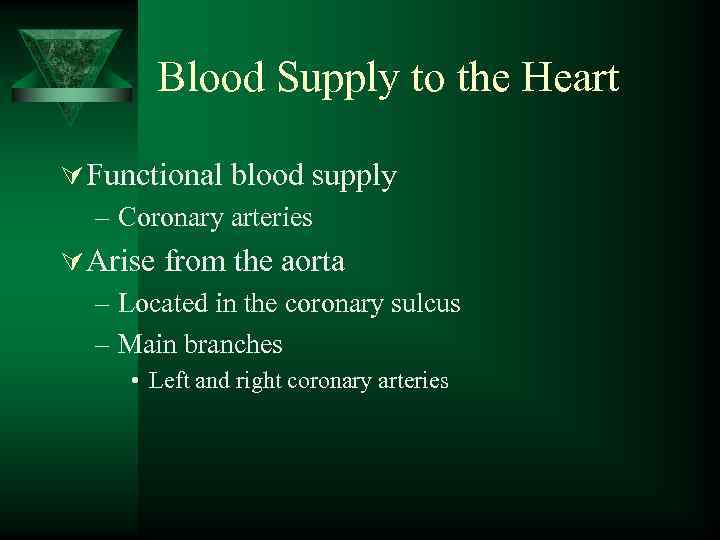 Blood Supply to the Heart Ú Functional blood supply – Coronary arteries Ú Arise