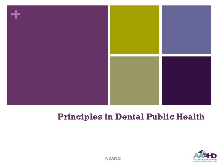 + Principles in Dental Public Health © AAPHD 