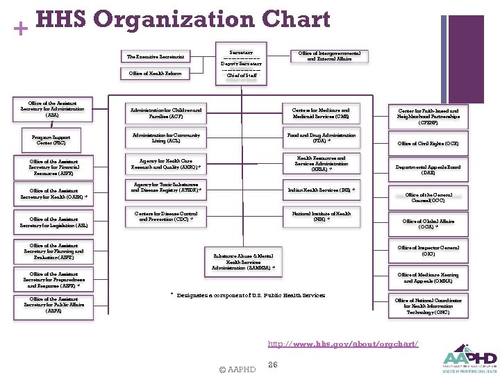 HHS Organization Chart + The Executive Secretariat Office of Health Reform Secretary -----------Deputy Secretary