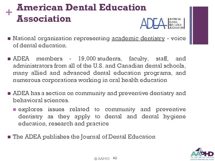 American Dental Education + Association n National organization representing academic dentistry - voice of