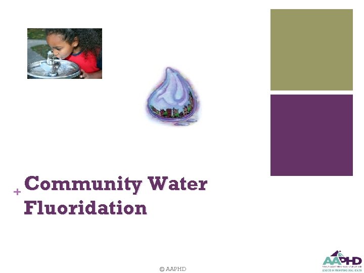 + Community Water Fluoridation © AAPHD 