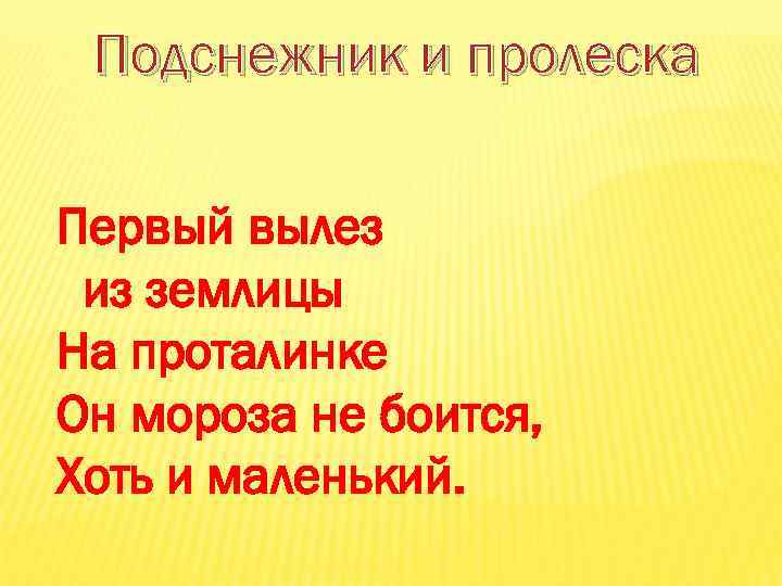 Подснежник и пролеска Первый вылез из землицы На проталинке Он мороза не боится, Хоть