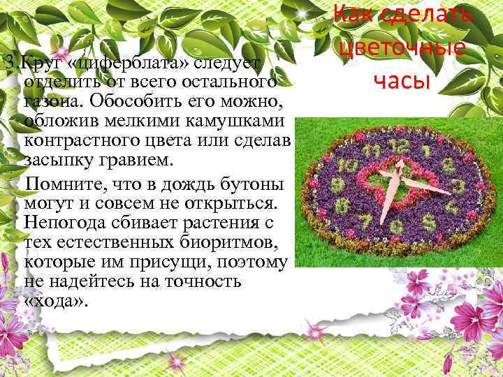 3. Круг «циферблата» следует отделить от всего остального газона. Обособить его можно, обложив мелкими