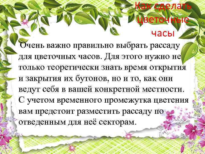 Как сделать цветочные часы Очень важно правильно выбрать рассаду для цветочных часов. Для этого