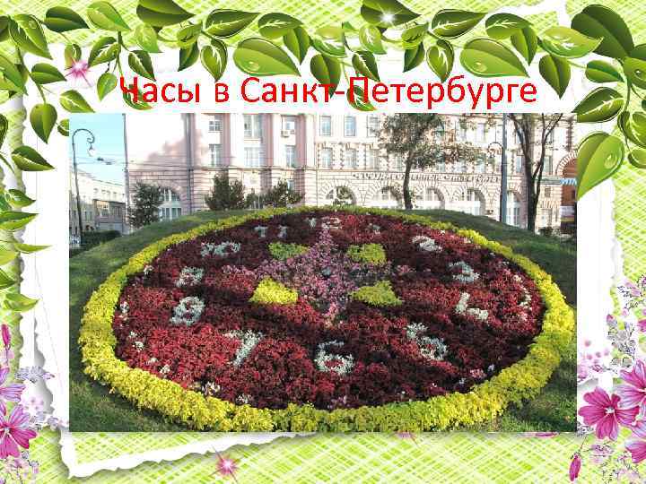 Часы в Санкт-Петербурге 