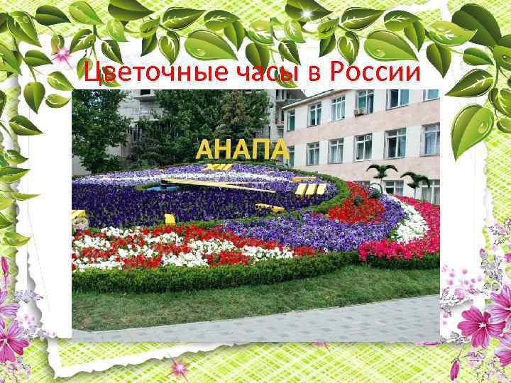 Цветочные часы в России 
