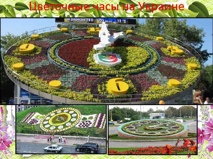 Цветочные часы на Украине 