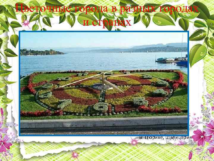 Цветочные города в разных городах и странах В Цюрихе, Швейцария 