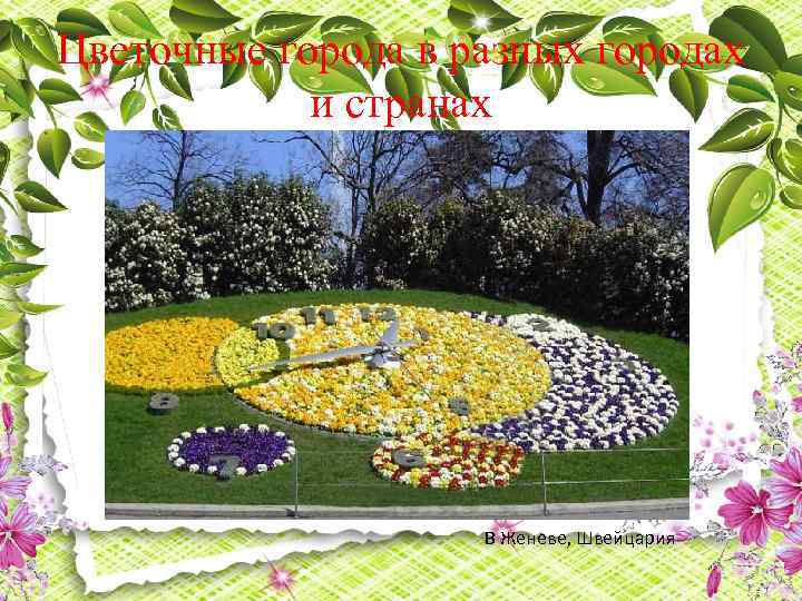 Цветочные города в разных городах и странах В Женеве, Швейцария 