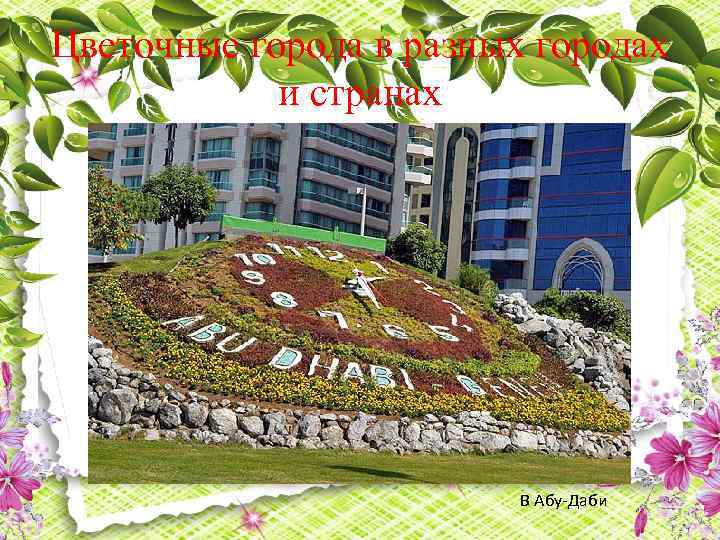 Цветочные города в разных городах и странах В Абу-Даби 