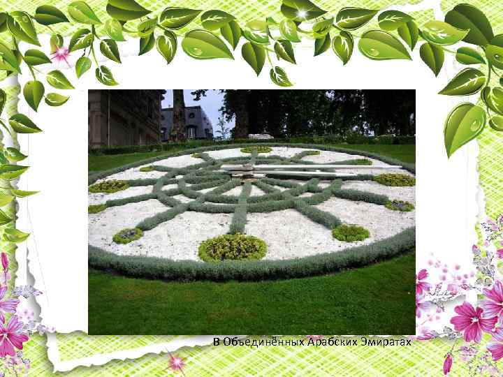 В Объединённых Арабских Эмиратах 