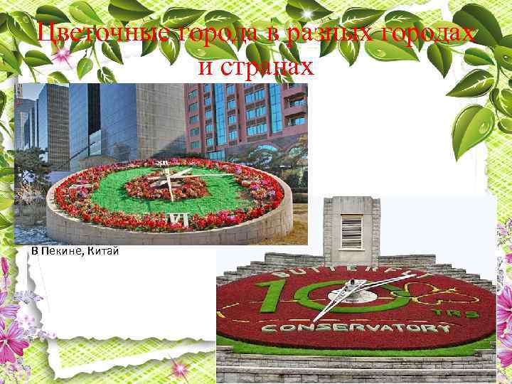 Цветочные города в разных городах и странах В Пекине, Китай 