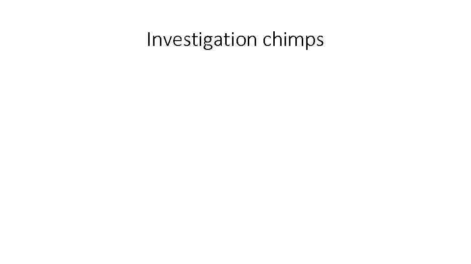 Investigation chimps 