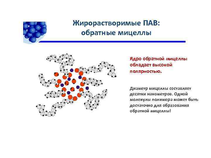 Жирорастворимые ПАВ: обратные мицеллы Ядро обратной мицеллы обладает высокой полярностью. Диаметр мицеллы составляет десятки