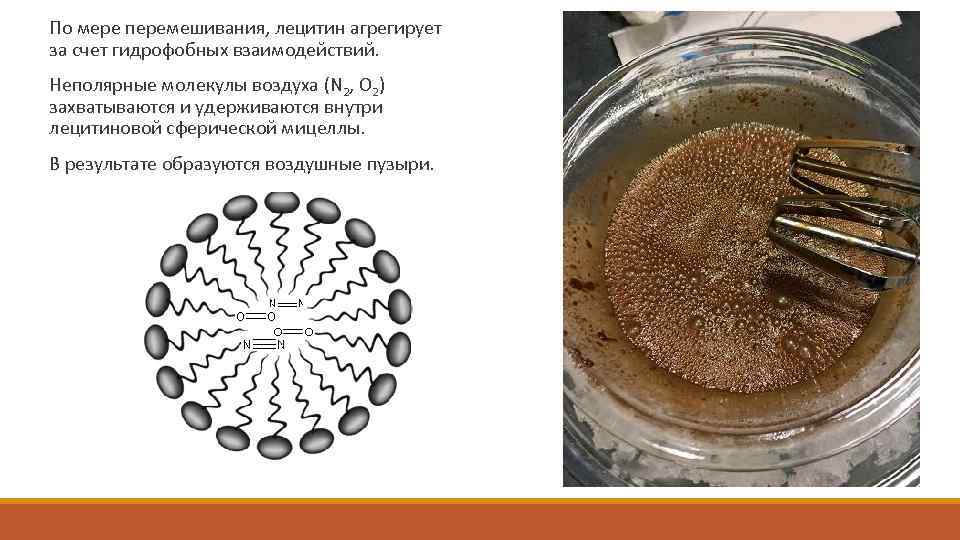  По мере перемешивания, лецитин агрегирует за счет гидрофобных взаимодействий. Неполярные молекулы воздуха (N