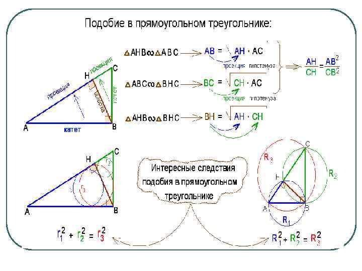 Подобие прямоугольных