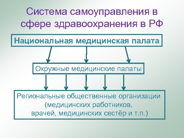 Система самоуправления в сфере здравоохранения в РФ Национальная медицинская палата Окружные медицинские палаты Региональные