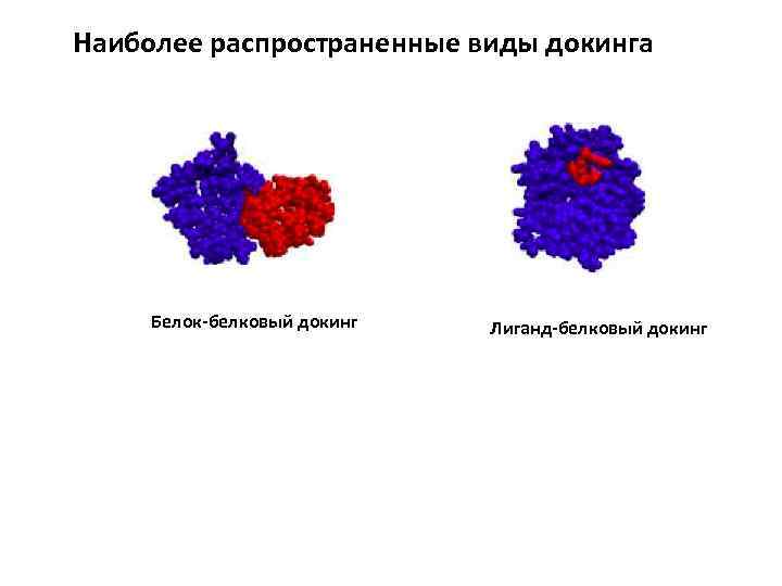 Наиболее распространенный тип. Лиганд белковый докинг. Белок-белковый докинг и лиганд-белковый докинг. Виды докинга. Белок белковый докинг.