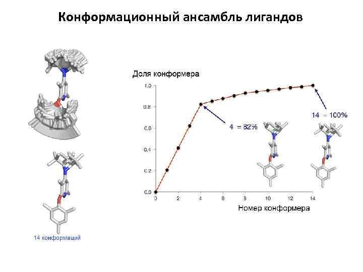 Конформационная подвижность. Конформационная стабильность и конформационные изменения. Конформационные болезни. Конформационные болезни микробиология. Конформационные изменения полимера.