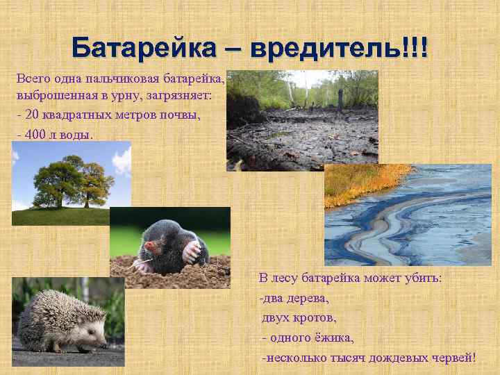 Батарейка – вредитель!!! Всего одна пальчиковая батарейка, выброшенная в урну, загрязняет: - 20 квадратных