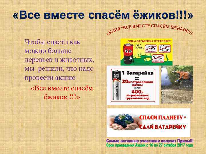  «Все вместе спасём ёжиков!!!» Чтобы спасти как можно больше деревьев и животных, мы