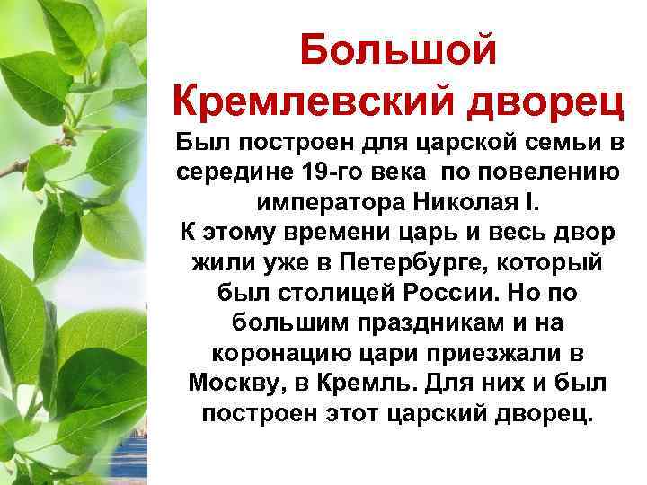 Большой Кремлевский дворец Был построен для царской семьи в середине 19 -го века по