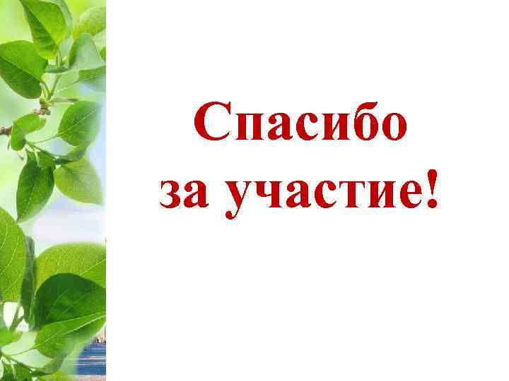 Спасибо за участие! 