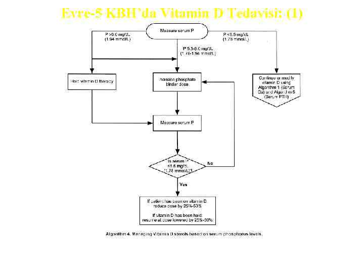 Evre-5 KBH’da Vitamin D Tedavisi: (1) 