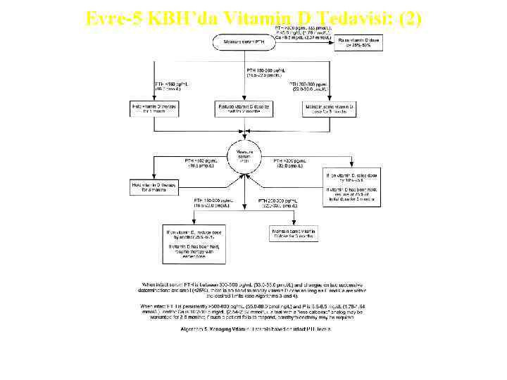 Evre-5 KBH’da Vitamin D Tedavisi: (2) 