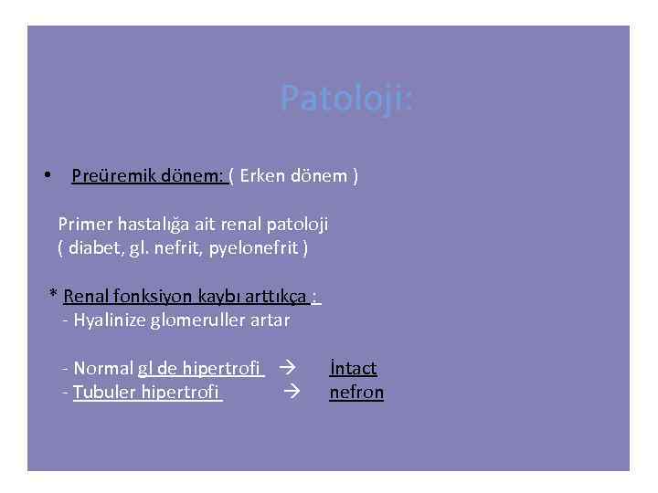 Patoloji: • Preüremik dönem: ( Erken dönem ) Primer hastalığa ait renal patoloji (