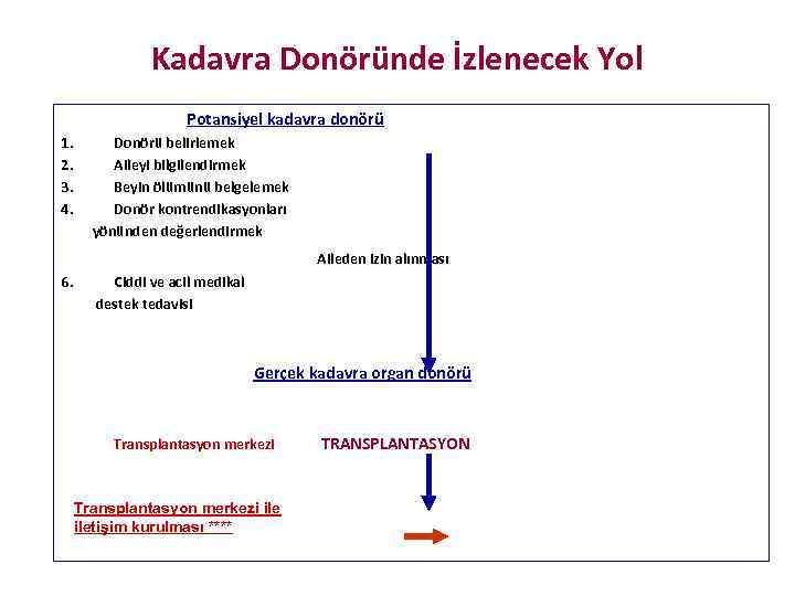 Kadavra Donöründe İzlenecek Yol Potansiyel kadavra donörü 1. 2. 3. 4. Donörü belirlemek Aileyi
