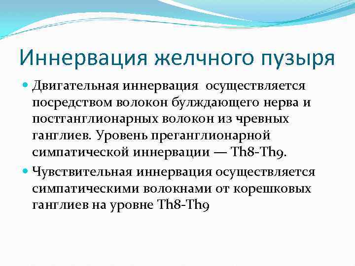 Топография желчного пузыря